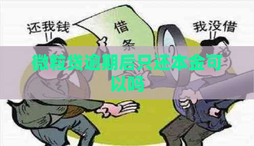 微粒贷逾期后只还本金可以吗