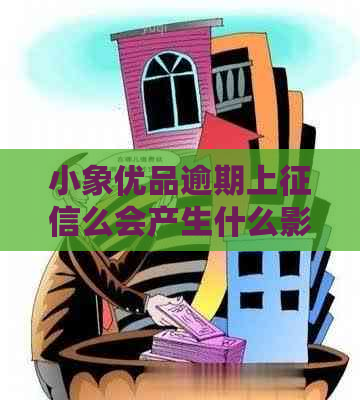 小象优品逾期上么会产生什么影响