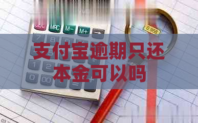 支付宝逾期只还本金可以吗