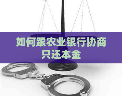 如何跟农业银行协商只还本金