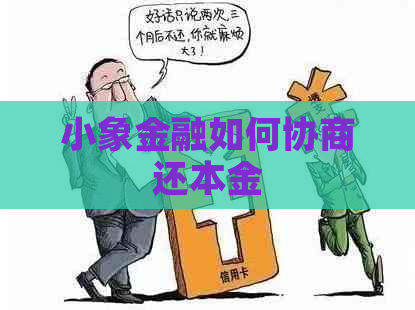 小象金融如何协商还本金