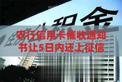 农行信用卡通知书让5日内还上