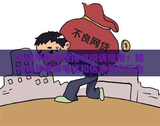 金融平台违规投诉指南：如何有效举报电话和信息行为？