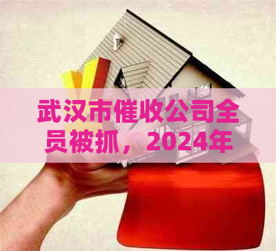 武汉市公司全员被抓，2024年前相关公司动态及联系电话整理