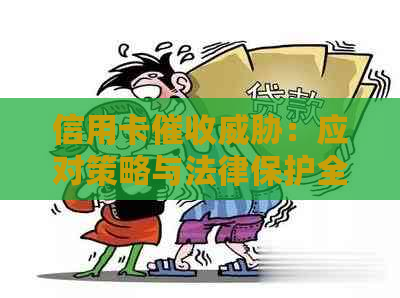 信用卡：应对策略与法律保护全面解析