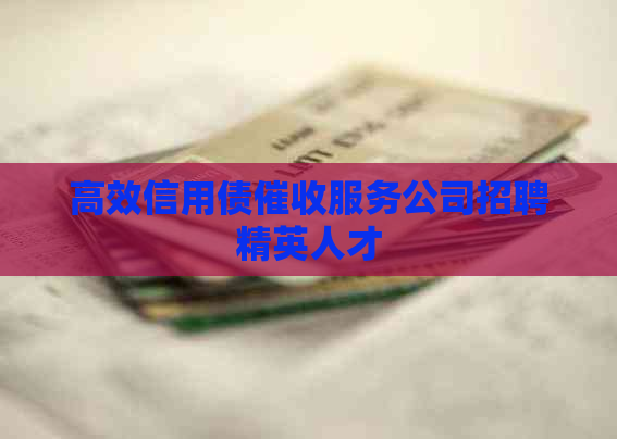 高效信用债服务公司招聘精英人才