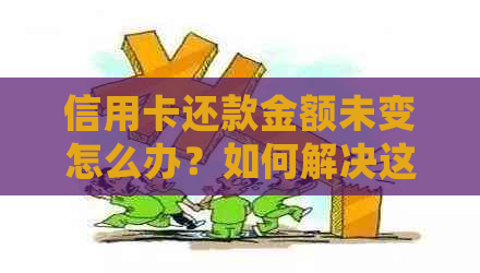 信用卡还款金额未变怎么办？如何解决这一问题并确保按时还款？