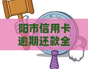 阳市信用卡逾期还款全攻略：如何进行协商分期处理