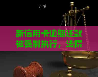 新信用卡逾期还款被强制执行，法院介入后怎么办？