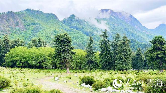 水彩风ai一键生成风景