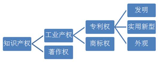 AI生成的知识产权有哪些类型及内容概述