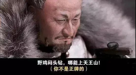 还魂伞是什么意思：刀郎的《还魂伞》及其背后的故事