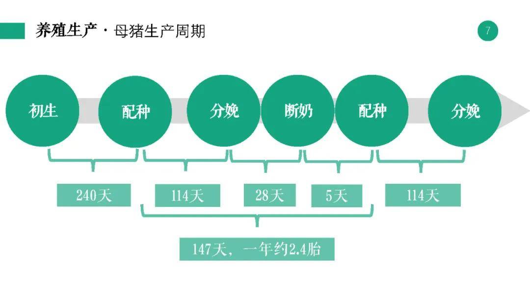 全面解析：兼职文案收费标准与影响因素指南