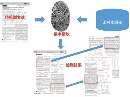 怎么写论文不被检测出重复率以降低重复率