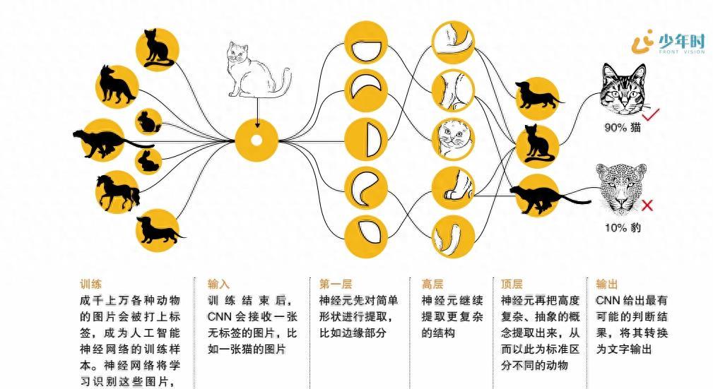 全面解析：AI培训课程及各类项目详解，覆热门技能与应用领域