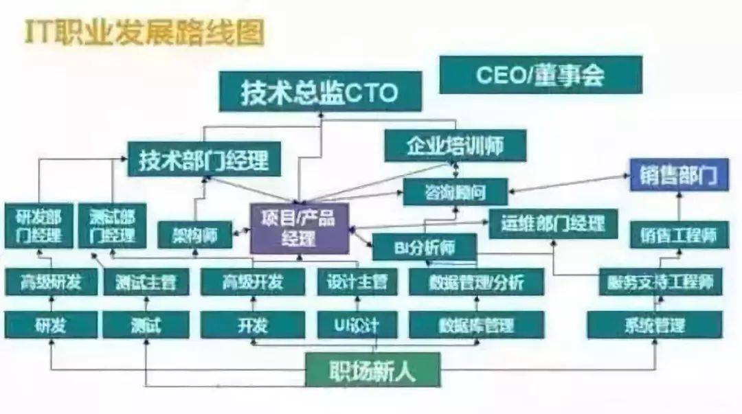 免费服装设计培训课程：涵技能提升、行业趋势与就业指导