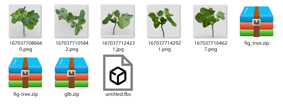 虚拟植物模型：与作物生长模型异同点、研究意义、名词解释及软件概览