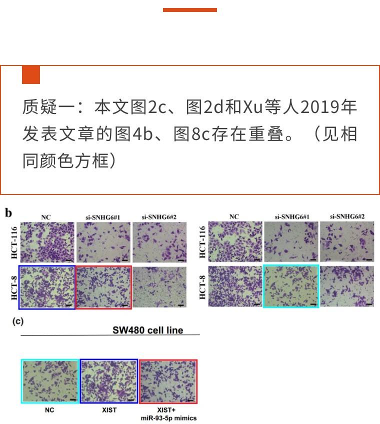 AI写作论文：一键免费生成软件，查重率及抄袭风险探究