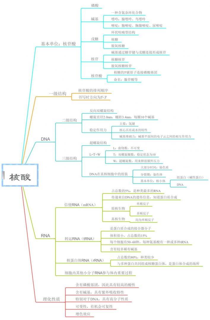 探索iMindMap替代品：全方位比较主流思维导图软件特性与选择指南