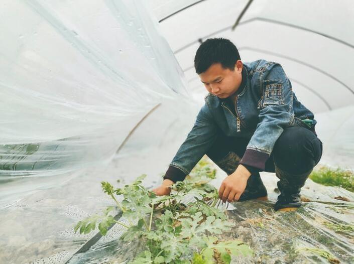 株洲人工智能技术职业学校官方网站 - 招生信息与职业培训介绍