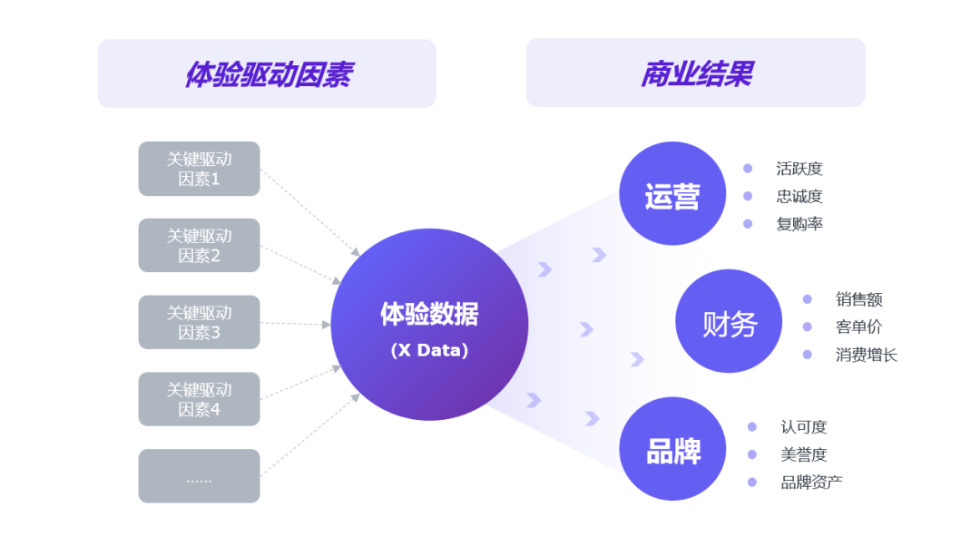 洛阳UIUX设计服务：涵界面设计、用户体验优化及行业解决方案