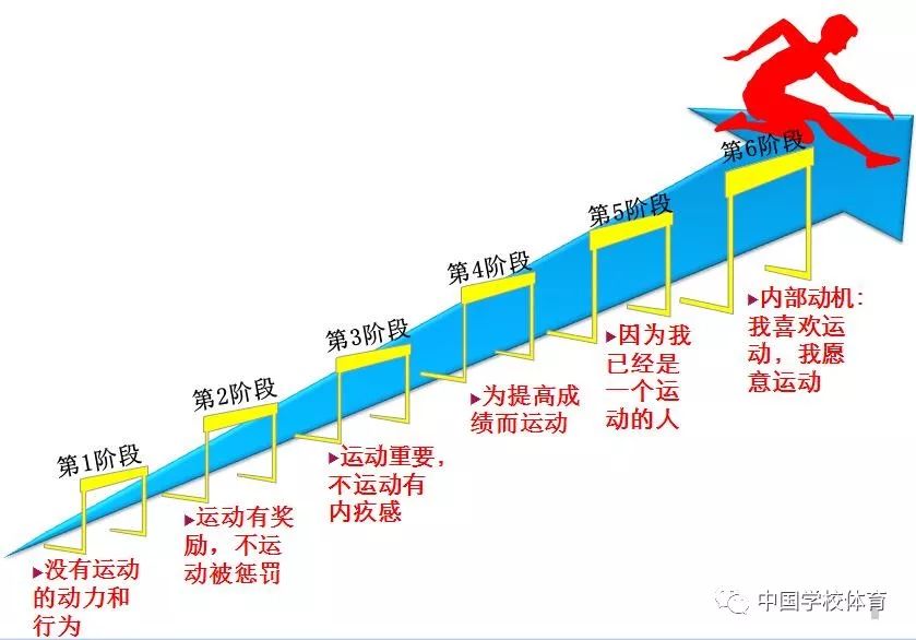 体育运动领域的社会分层现象及其影响解析：从运动员到观众的层级分析