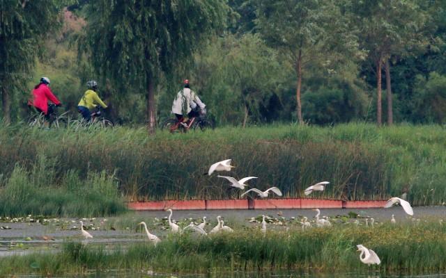 自然环境形成与演化：探讨地质、气候、生物多样性的起源与变迁