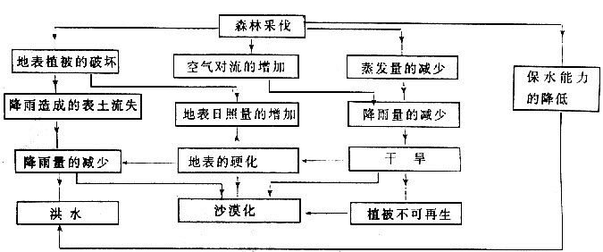 生态自然环境模式与生态环境保护策略探究