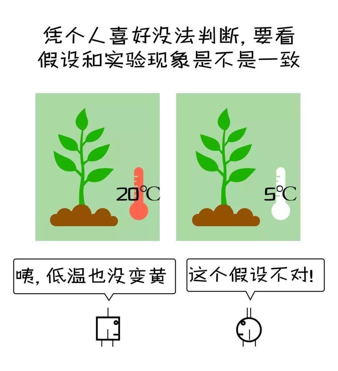 牛顿树下苹果树旁经典笔画图片大全：探索科学家的灵感瞬间