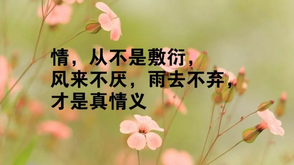 句句充满：经典哲理语录，让你的人生充满智慧与能量