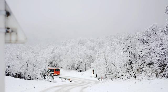 冬日记忆：朋友雪地写真，雪花飘舞抖音文案创作