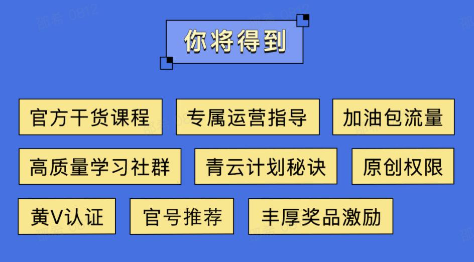 AI项目运营特点：全面分析及撰写指南