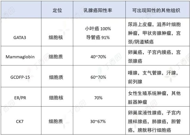 全方位解读乳腺癌病理报告：从基本信息到治疗指导，让您清晰了解病情与预后