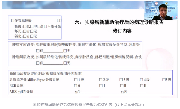 全方位解读乳腺癌病理报告：从基本信息到治疗指导，让您清晰了解病情与预后