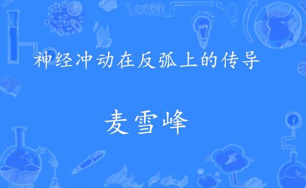 air动漫文案：短句句子治愈集，干净治愈系精选