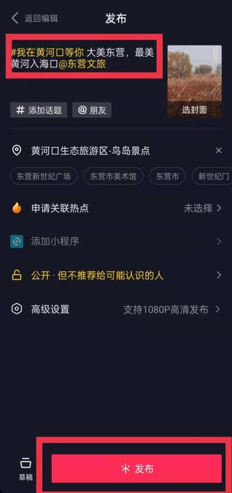 全面攻略：抖音文案创作与视频制作技巧详解，涵热门话题与实用案例