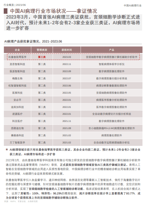 ai诊断报告模板怎么做