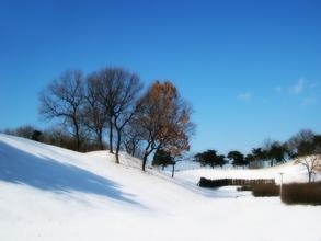 ai创作描述雪景怎么写好看：简单又优雅的技巧与方法