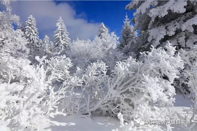 全方位解析：雪景艺术创作理念与技巧深度阐述