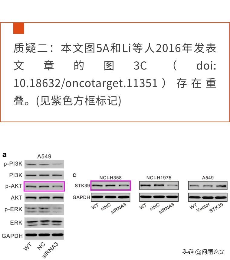 AI智能写作助手：实现高效原创内容生成与查重功能，全面降低论文相似度