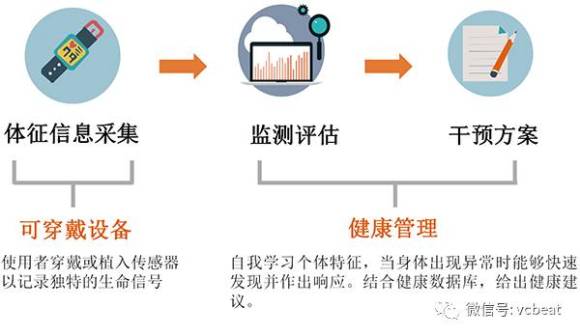 人工智能辅助智能体监测系统应用分析研究报告