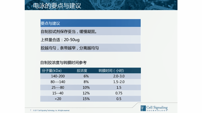 科研写作全解析：定义、技巧、流程与常见问题解答