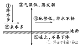 深入解析若若若若若现象：全方位解答相关疑问与背后的原因