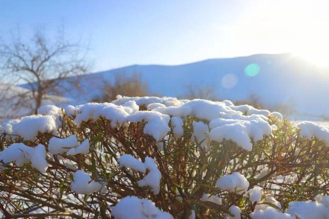 在这初雪时分，浪漫文案让人感受美好的雪花瞬间