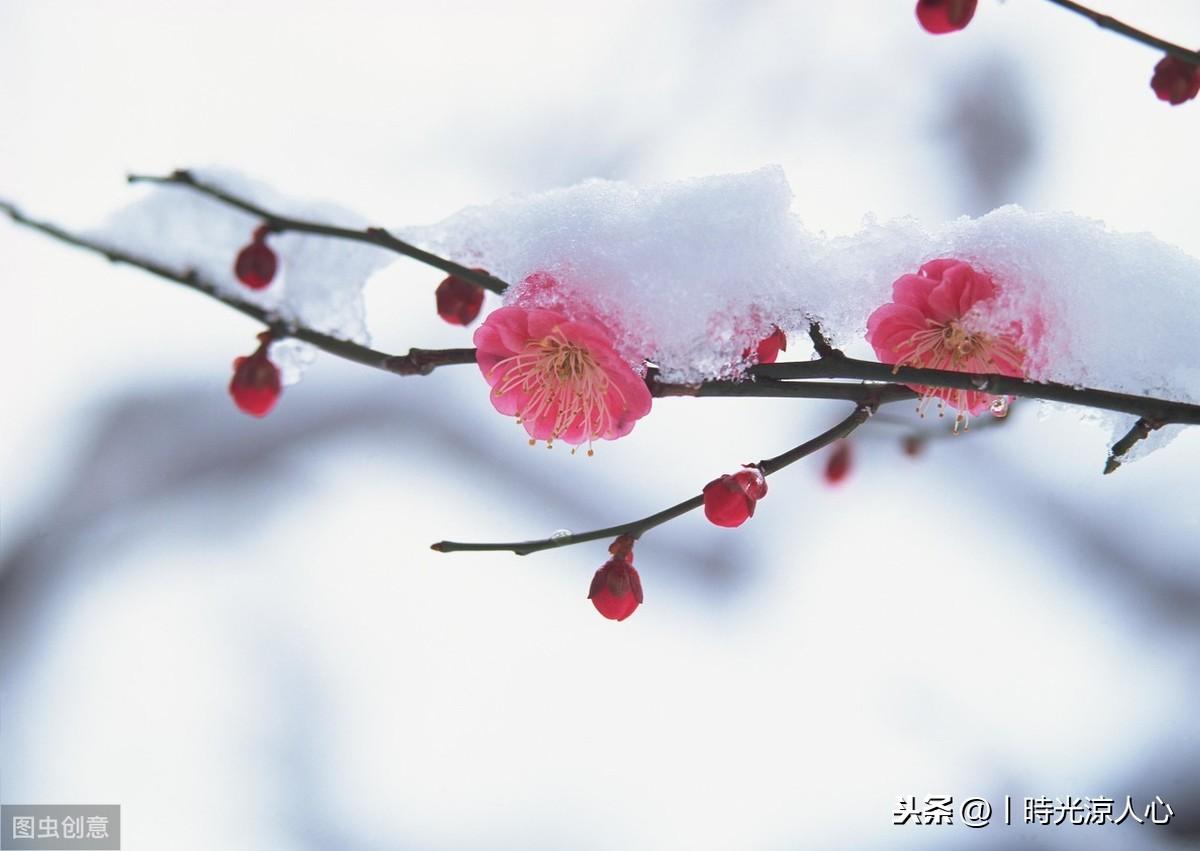 初雪文案汇编：八字精华与创意精选