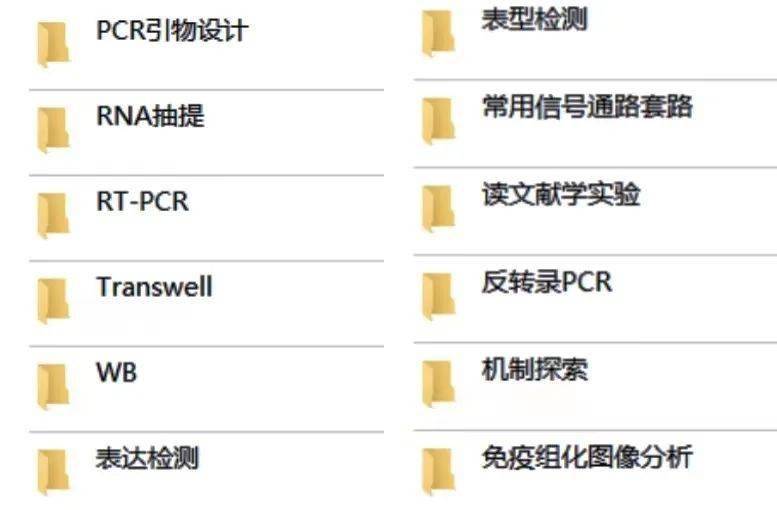 AI实验报告撰写攻略：从选题到成果展示的全方位指南