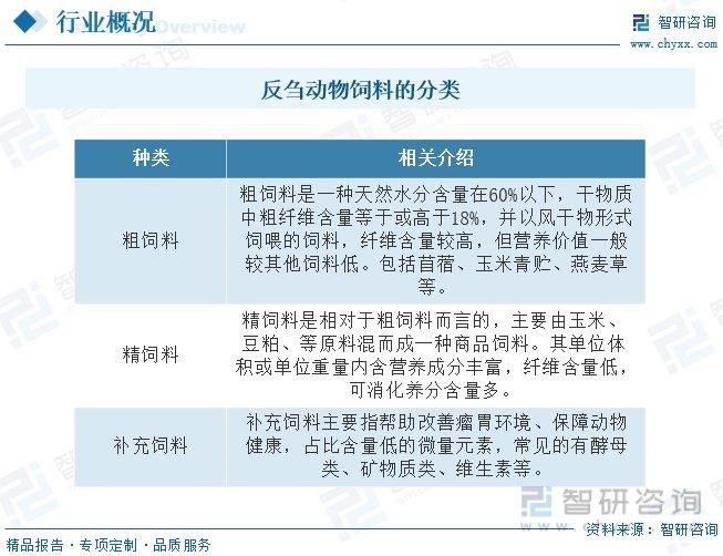 全面解析物流行业文案撰写攻略：涵关键词、优化策略与用户需求解答