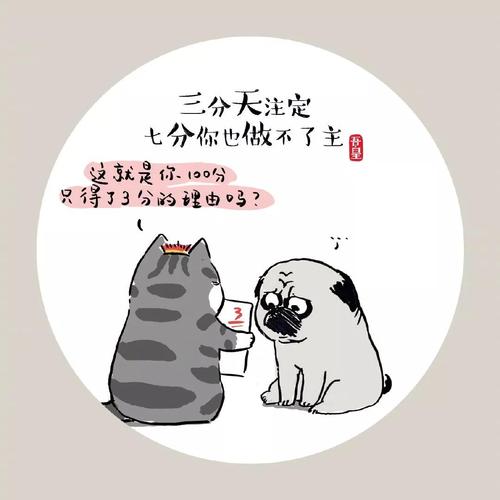 画猫的文案：说说搞笑子，描绘猫咪趣事