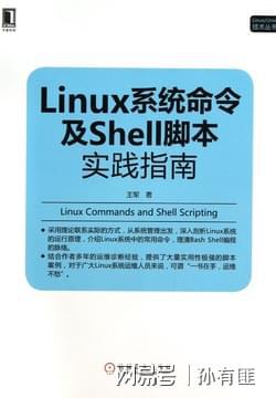 AI脚本实现内容复制与智能缩放技巧详解：全面指南与常见问题解答