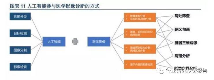 智能AI辅助CT报告快速识别与分析：全面优化医学影像诊断流程